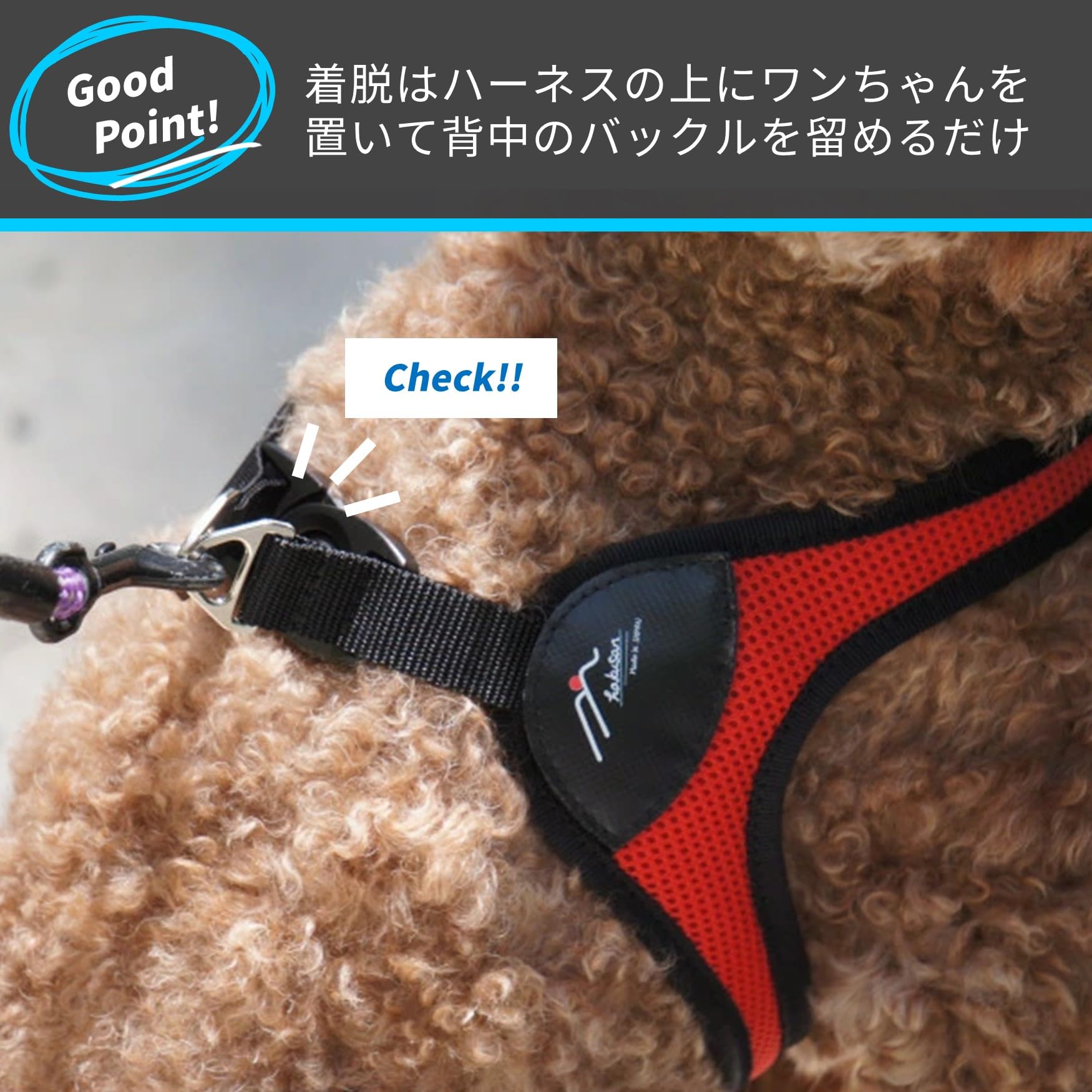 Amazon | Hakusan(ハクサン) イージーコンフォートハーネス ネイビー